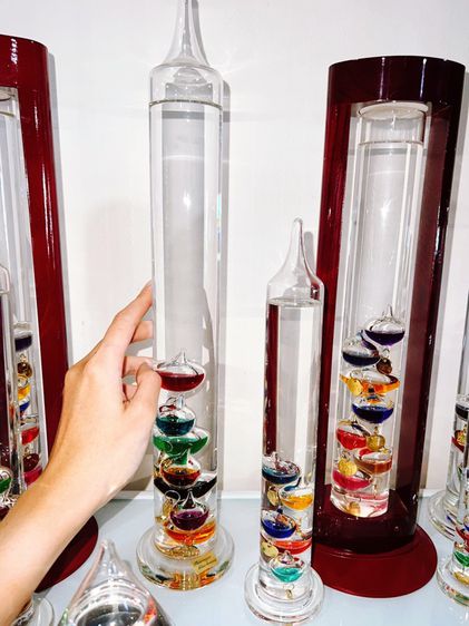The Thermo florter for beautiful interior life  set 15 อัน รูปที่ 9