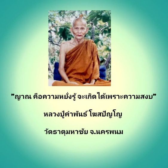 ดวงตรานาคาธิบดีสีสัตตนาคบาดาล (พญาศรีสัตตนาคราช) รุ่น ๑ เนื้อพิเศษ หลังฝังปฐวีธาตุหลวงปู่คำพันธ์ โฆสปัญโญ วัดธาตุมหาชัย สร้างปี ๒๕๔๙  รูปที่ 16