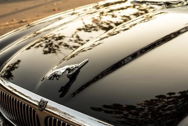 โลโก้จากัวร์ หัวเสือ Logo Jaguar ฝากระโปรงหน้า ใส่ S Type X Type Sovereign Daimler XF XJ XJR รูปที่ 11