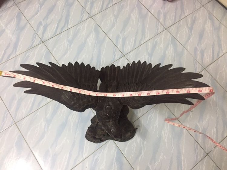 นกอินทรีย์ รูปที่ 4