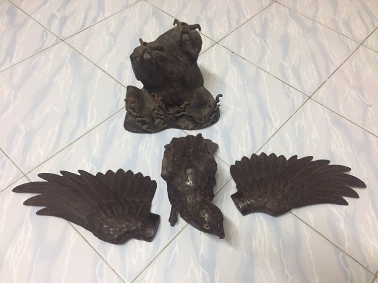 นกอินทรีย์ รูปที่ 3