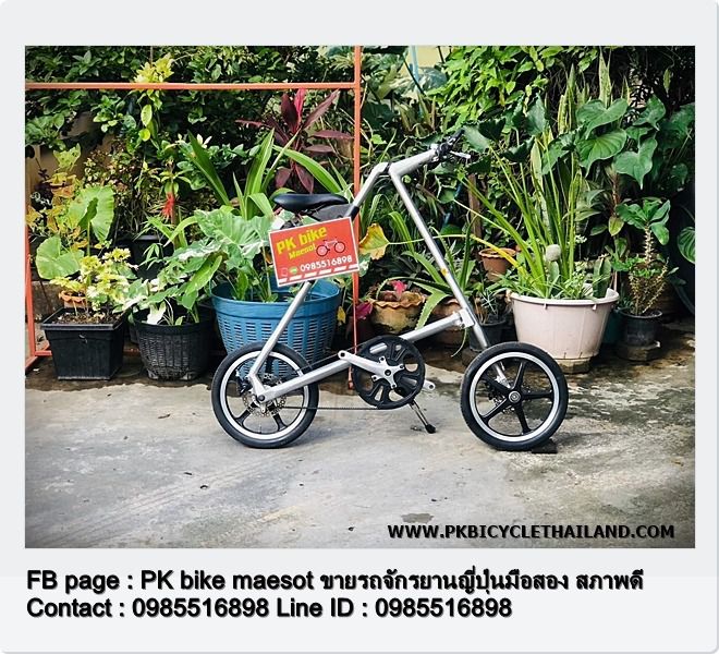 My Image 34