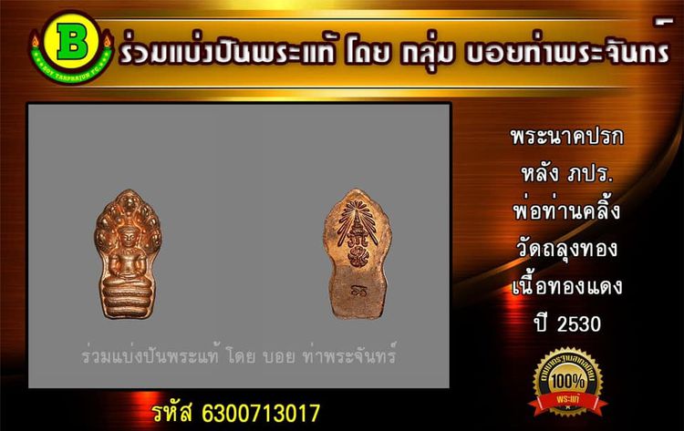 พระนาคปรก หลัง ภปร. พ่อท่านคลิ้ง ปี 2530 รูปที่ 3