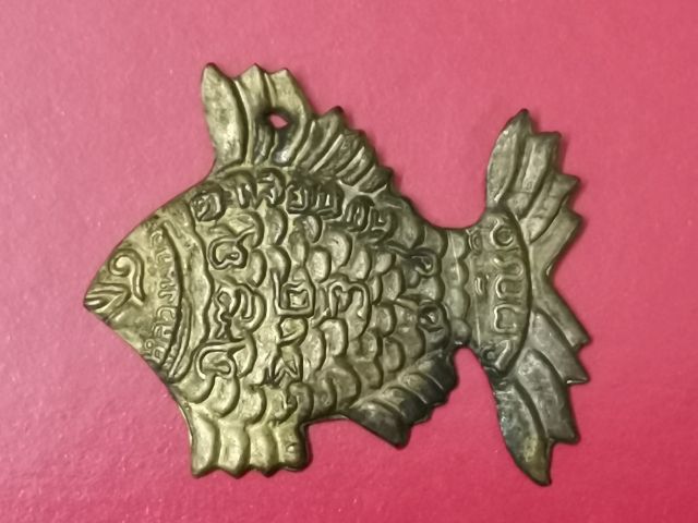 (บ.363) ปลาตะเพียนเงินทอง รูปที่ 2