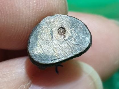 รูปหล่อสมเด็จพระพุฒาจารย์(โต พฺรหฺมรํสี) ที่ระลึกฉลองวัดชิโนรส มีอายุครบ ๑๕๐ ปี

 รูปที่ 12