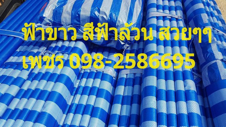 ผ้าฝางบลูชีท ฟ้าขาว รูปที่ 11