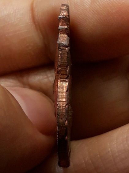 เหรียญหลวงปู่แผ้ว วัดรางหมัน รูปที่ 4