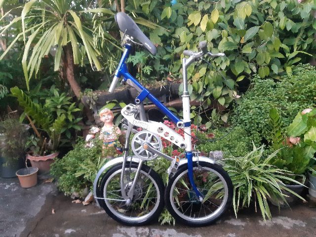 🍓MIYATA🍓 รูปที่ 11