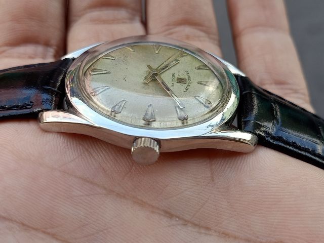 Favre-Leubaไขลาน รูปที่ 6