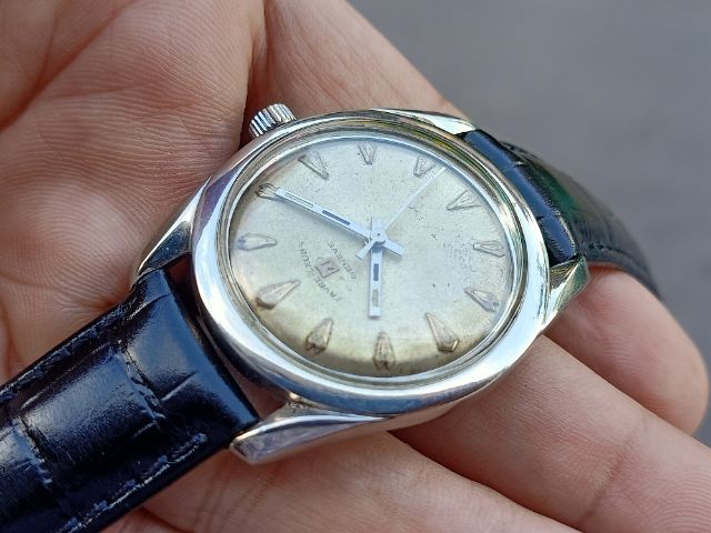 Favre-Leubaไขลาน รูปที่ 9