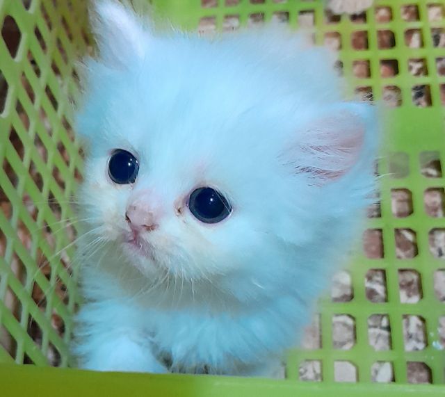 My Image 56