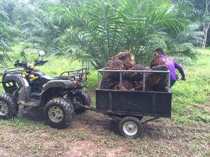 KONIK Z200  KONIK RANGER 150 รถใหม่ประกัน 1 ปี รูปที่ 2