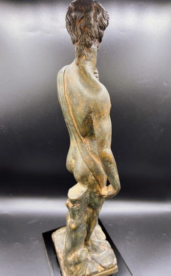 David by Michelangelo รูปที่ 4