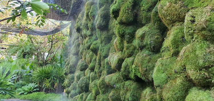 ระบบรดน้ำอัตโนมัติ  ระบบสปริงเกลอร์ Irrigation and Landscaping design ออกแบบสวน บ่อปลาคาร์ฟ รูปที่ 7