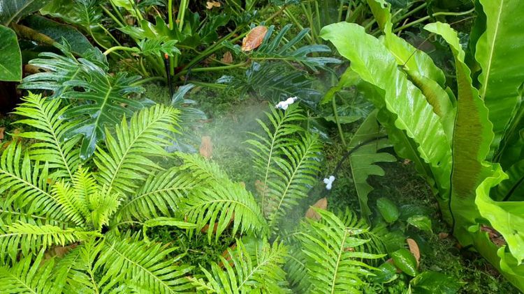 ระบบรดน้ำอัตโนมัติ  ระบบสปริงเกลอร์ Irrigation and Landscaping design ออกแบบสวน บ่อปลาคาร์ฟ รูปที่ 4