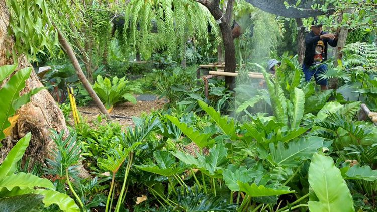 ระบบรดน้ำอัตโนมัติ  ระบบสปริงเกลอร์ Irrigation and Landscaping design ออกแบบสวน บ่อปลาคาร์ฟ รูปที่ 5