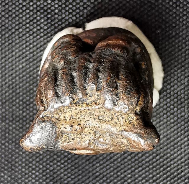 พระปิดตา​ เนื้อทองแดงเถื่อน​ เมืองนคร ดอกจันทร์ 1 ดอก รูปที่ 9