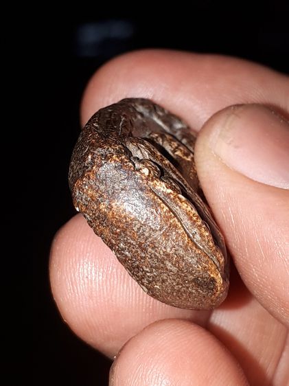 พระขุนแผนผงพรายกุมาร หลังยันต์ บล็อกแรกๆ ยุคต้น ปี 25xx เนื้อผง แห้ง เหี่ยว บล็อคชาวบ้าน หลวงปู่ทิม วัดละหารไร่ จ.ระยอง สร้างน้อย สวยเดิมๆ เ รูปที่ 8