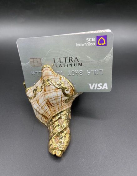 เปลือกหอยเคลือบทอง สำหรับใส่นามบัตร made in Philippines  รูปที่ 2