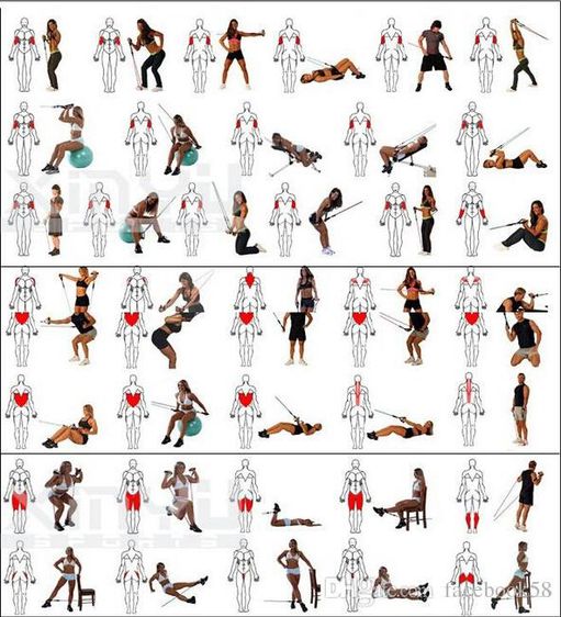 🔥มือ 1 - ยางยืดออกกำลังกาย รุ่นหัวตะขอใหญ่ Resistance band 11 pcs - ยางยืดสายแรงต้าน สร้างกล้ามเนื้อ ลดไขมัน เวท รูปที่ 13