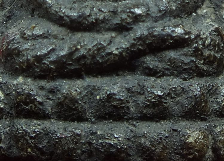 หลวงปู่ทวด วัดท่าไทร จ.สุราษฏร์ฯ ปี 2537 รูปที่ 5