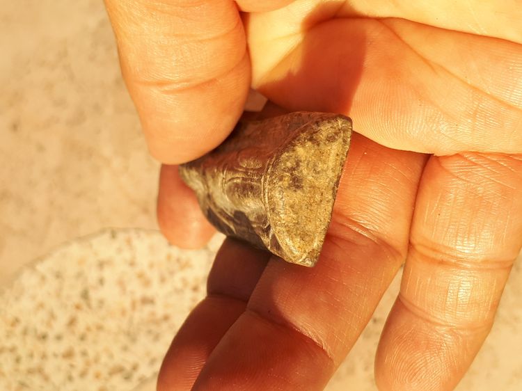 พระร่วงยืน หลังลายผ้า จ.สุโขทัย เนื้อตะกั่วสนิมแดง มีคราบ มีน้ำหนัก มีศิลป์แบบยุคต้น พิมพ์ทรงขึงขังเต็มศิลป์ ขนาดกำลังงาม พระสวยสมบูรณ์ พระะ รูปที่ 11