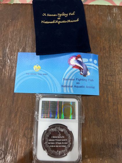 ของเก่าสะสม รูปที่ 2