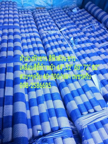 ผ้าม้วน ผ้าฝาง พลาสติกปูพื้น บ่อ รูปที่ 4