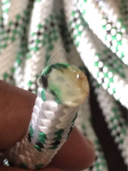 เชือกเซฟตี้ขนาด 8 mm รูปที่ 4