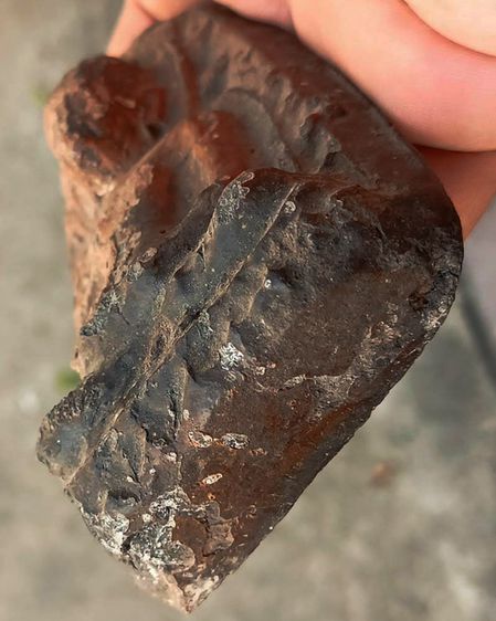 พระร่วงนั่งเนื้อดินเผา พิมพ์ทวาราวดี หลังจาร กรุหนองบัว อ.พนัสนิคม จ.ชลบุรี อายุ 1300 ปี พระกรุนี้หาชมยากครับ รูปที่ 5