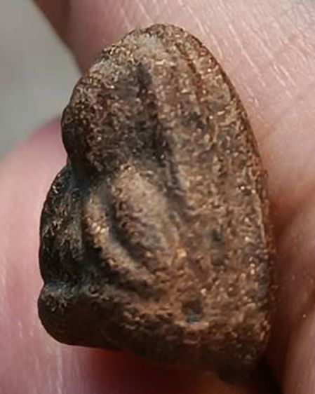 ปิดตาหลวงพ่อปาน วัดเครือวัลย์ ชลบุรี พิมพ์เล็กหลังเบี้ย สูง 1.3 ซ.ม ผสมผงเก่า ลพ.แก้ว ปี 250กว่า รูปที่ 4