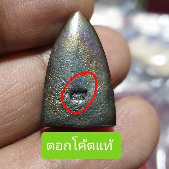หลวงปู่ทวด ปี55 สวยแชมป์ไม่ผ่านการใช้ รูปที่ 2