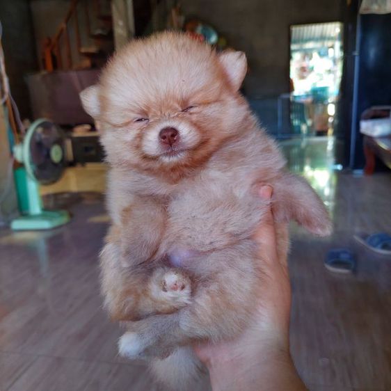 My Image 14