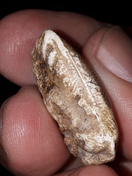 พระผง ขุดสระใหญ่ หลังอูม หลวงปู่เผือก วัดกิ่งแก้ว สมุทรปราการ รุ่นแรก ปี2460 เนื้อผงพุทธคุณ พระเนื้อผงยุคเก่าอันดับต้นๆ บางองค์เนื้อเหมือนกั รูปที่ 7