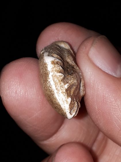 พระผง ขุดสระใหญ่ หลังอูม หลวงปู่เผือก วัดกิ่งแก้ว สมุทรปราการ รุ่นแรก ปี2460 เนื้อผงพุทธคุณ พระเนื้อผงยุคเก่าอันดับต้นๆ บางองค์เนื้อเหมือนกั รูปที่ 10