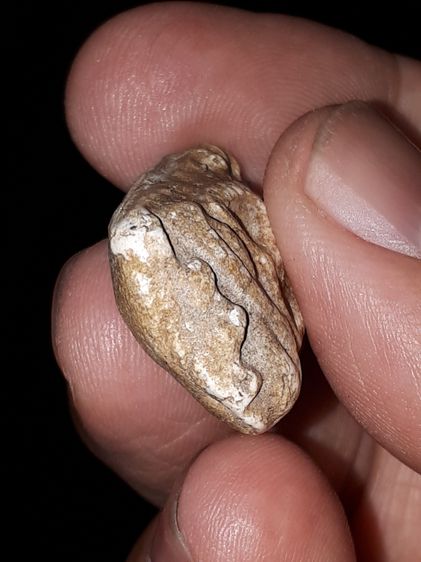 พระผง ขุดสระใหญ่ หลังอูม หลวงปู่เผือก วัดกิ่งแก้ว สมุทรปราการ รุ่นแรก ปี2460 เนื้อผงพุทธคุณ พระเนื้อผงยุคเก่าอันดับต้นๆ บางองค์เนื้อเหมือนกั รูปที่ 9