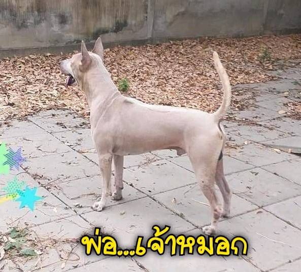 My Image 36