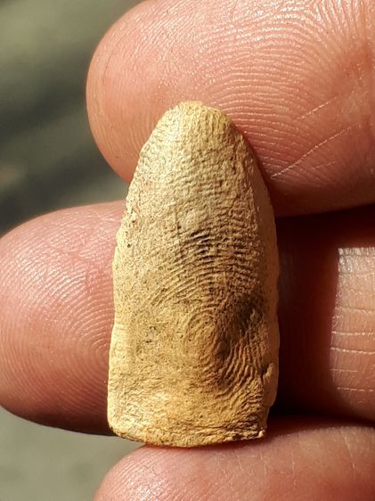 พระของขวัญ วัดปากน้ำ รุ่น 6 พระไตรปิฎก ปี 2533 เนื้อเทียน พิมพ์คม ชัด พระสวย สมบูรณ์ เลี่ยมทอง ปิดหลัง เก่า หนา ทองสั่งทำสวย  พระผงวัดปากน้ำ รูปที่ 3