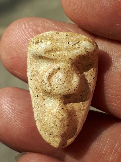 พระกรุวัดพลับ พิมพ์สมาธิ เนื้อผง เนื้อออกขาวอมเหลือง เนื้อแห้ง แตกลาน เป็นธรรมชาติ สวย สมบูรณ์ องค์นี้สวย แท้ดูง่าย เนื้อจัดมาก มีคราบเก่า แ รูปที่ 8