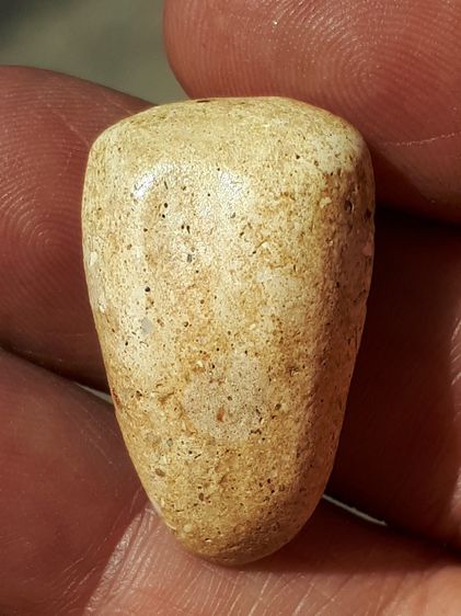 พระกรุวัดพลับ พิมพ์สมาธิ เนื้อผง เนื้อออกขาวอมเหลือง เนื้อแห้ง แตกลาน เป็นธรรมชาติ สวย สมบูรณ์ องค์นี้สวย แท้ดูง่าย เนื้อจัดมาก มีคราบเก่า แ รูปที่ 9