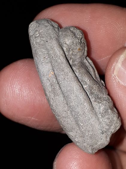 พระหลวงพ่อทวด พิมพ์กลางโย้ เนื้อว่าน มีมวลสาร สีเทา มีคราบฝ้าขาว เนื้อหาเก่า ผิวเดิม พระหนา สวย คม ชัด ลึกมาก สภาพสมบูรณ์ ฟอร์มสวย เก่า แท้  รูปที่ 3