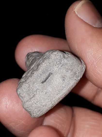 พระหลวงพ่อทวด พิมพ์กลางโย้ เนื้อว่าน มีมวลสาร สีเทา มีคราบฝ้าขาว เนื้อหาเก่า ผิวเดิม พระหนา สวย คม ชัด ลึกมาก สภาพสมบูรณ์ ฟอร์มสวย เก่า แท้  รูปที่ 5