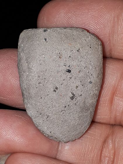 พระหลวงพ่อทวด พิมพ์กลางโย้ เนื้อว่าน มีมวลสาร สีเทา มีคราบฝ้าขาว เนื้อหาเก่า ผิวเดิม พระหนา สวย คม ชัด ลึกมาก สภาพสมบูรณ์ ฟอร์มสวย เก่า แท้  รูปที่ 8