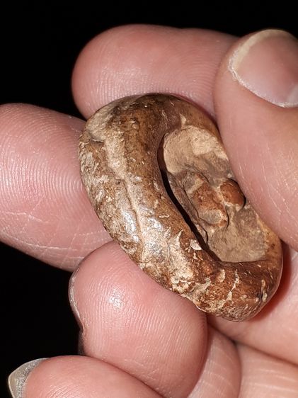 พระพิมพ์เม็ดกระดุม กรุกำแพงเพชร ขนาดพระเส้นผ่าศูนย์กลาง 3 cm. เนื้อดิน เนื้อเนียนละเอียด มวลสารลอย แห้ง เนื้อจัดดูง่าย พระติดพิมพ์ตื้น พระหน รูปที่ 6