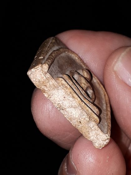 พระสมเด็จวัดระฆัง พิมพ์ใหญ่ รุ่นแรก หักสวย ไม่โดนองค์พระ เนื้อผง เก่า เนื้อนอก และในสีเดียวกัน แท้ มีเม็ดขี้ยุ่ง แห้ง ย่น เหี่ยว รูปทรงสวยงา รูปที่ 6