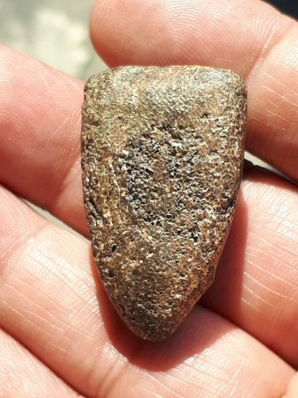 หลวงพ่อทวด เนื้อว่าน วัดช้างให้ ปัตตานี รุ่นแรก ปี 2497 พิมพ์ใหญ่ สภาพสมบูรณ์ สวยงาม ทั้งพิมพ์ทรง เนื้อหามวลสาร ผิวพรรณเป็นธรรมชาติดั้งเดิม  รูปที่ 9