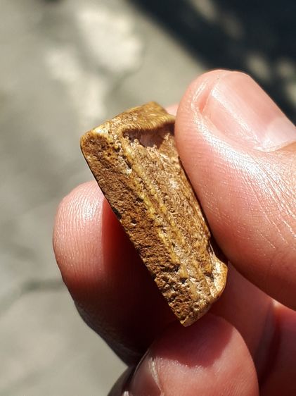 พระสมเด็จ วัดระฆัง พิมพ์เจดีย์ใหญ่ เกศตุ่ม เนื้อผง ผิวพระแห้ง คราบไขขาว และคราบฝุ่นบางๆ เกาะติด ดูง่ายๆ เป็นเอกลักษณ์สำคัญของพระที่มีอายุนาน รูปที่ 5