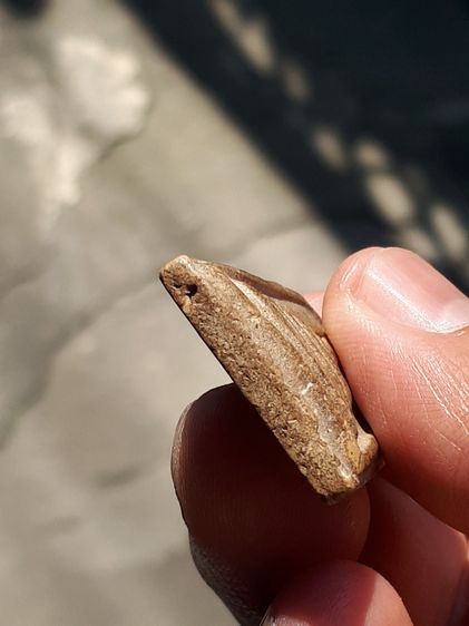 พระสมเด็จ วัดระฆัง พิมพ์เจดีย์โย้ เนื้อผง ผิวพระแห้ง คราบไขขาว และคราบฝุ่นบางๆ เกาะติด ดูง่ายๆ เป็นเอกลักษณ์สำคัญของพระที่มีอายุนานเป็นร้อยป รูปที่ 6