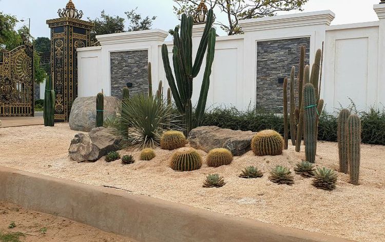 สปริงเกอร์ ระบบรดน้ำอัตโนมัติ ระบบไฟสวน ไฟสนาม  จัดสวน  รูปที่ 9