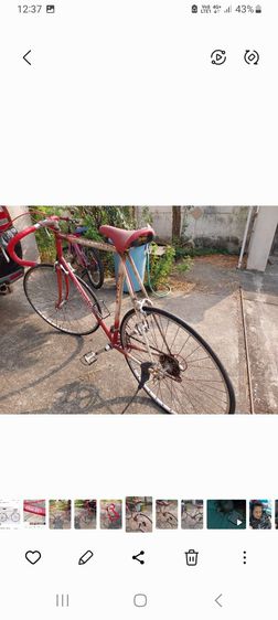จักรยานbenotto models800 รูปที่ 2